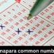 khanapara common number